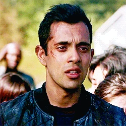 RÃ©sultat de recherche d'images pour "the 100"