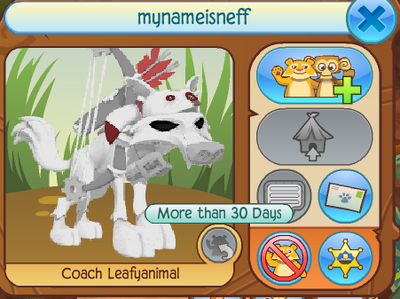 M'nameisjeff