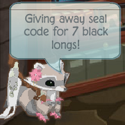 Pet code scam example