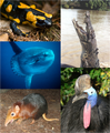 Thumbnail for version as of 20:34, June 20, 2013