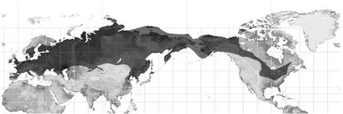Mammoth Steppe