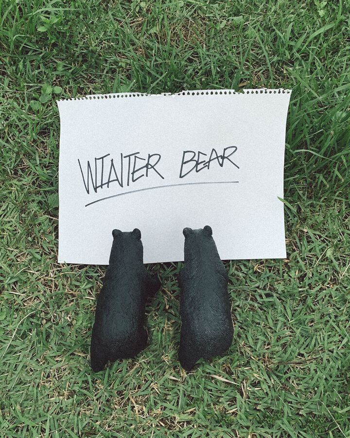 Winter Bear Bts Wiki Fandom