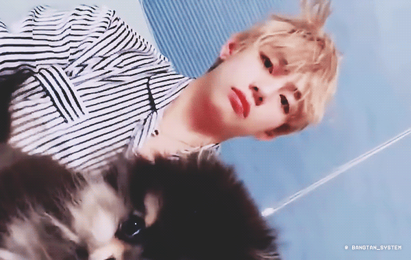 Yeontan là giống chó gì - Tất tần tật thông tin về giống chó Yeontan Yeontan là giống chó gì - Tất tần tật thông tin về giống chó Yeontan - Yeontan là giống chó gì - Tất tần tật thông tin về giống chó Yeontan