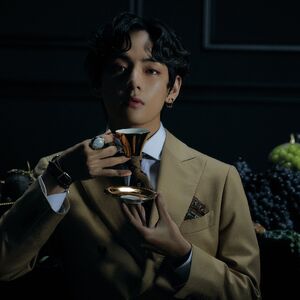 V Gallery Bts Wiki Fandom