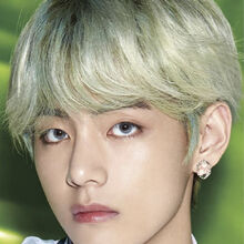 V Gallery Bts Wiki Fandom