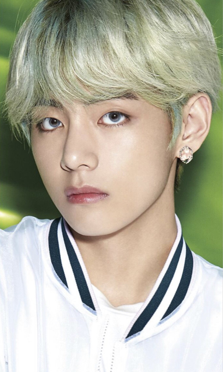 V | BTS Wiki | Fandom