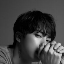 Love Yourself Tear Gallery Bts Wiki Fandom