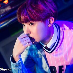 Love Yourself Her Gallery Bts Wiki Fandom