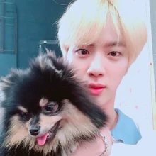 Yeontan Bts Wiki Fandom
