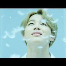 Jimin Bts Wiki Fandom