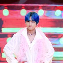 Boy With Luv Feat Halsey Gallery Bts Wiki Fandom