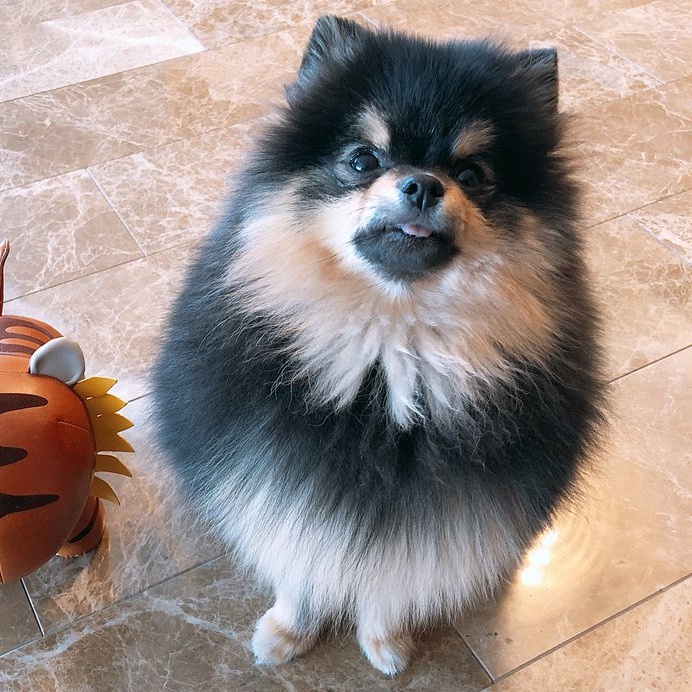 Yeontan | BTS Wiki | FANDOM powered by Wikia