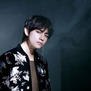 Intro Singularity Gallery Bts Wiki Fandom