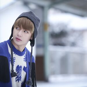 Spring Day Gallery Bts Wiki Fandom
