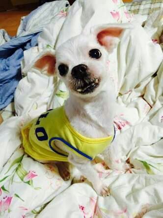 Gureum | BTS Wiki | Fandom