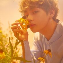 Love Yourself Her Gallery Bts Wiki Fandom