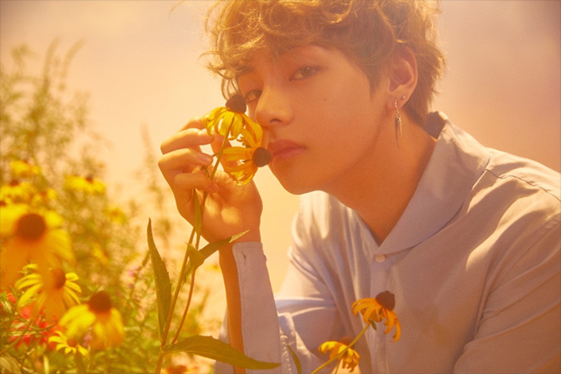 Image V Love Yourself Her Special Photo JPG BTS Wiki Image V Love Yourself Her Special Photo JPG BTS Wiki