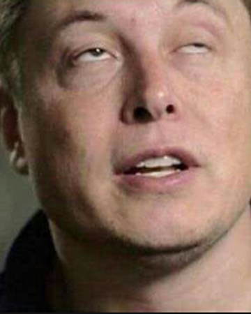 Elon Musk The Best Anime In The World Wikia Fandom