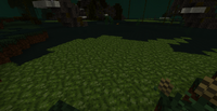 PicAlgae