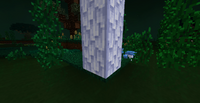 PicBulbCappedMushroomStalk