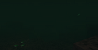 PicSwampWaterUnderwater