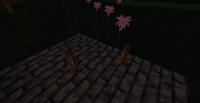 2015-05-03 12.11.38