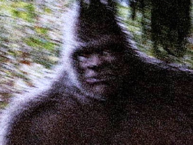 Genoskwa | The Bigfoot Wiki | Fandom