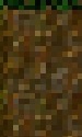 Orange tree wood