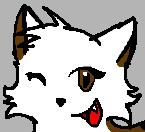 Shokora Icon