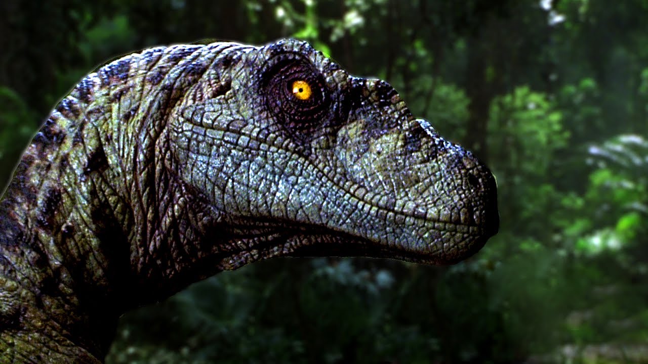 ingen velociraptor