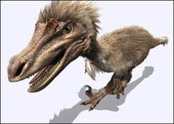 File:Velociraptor.jpg