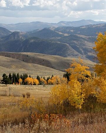 Yellowstone National Park Wikipedia