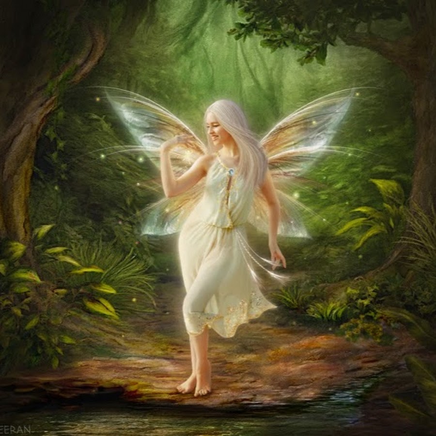 Fairy | The Fairy World community | Fandom