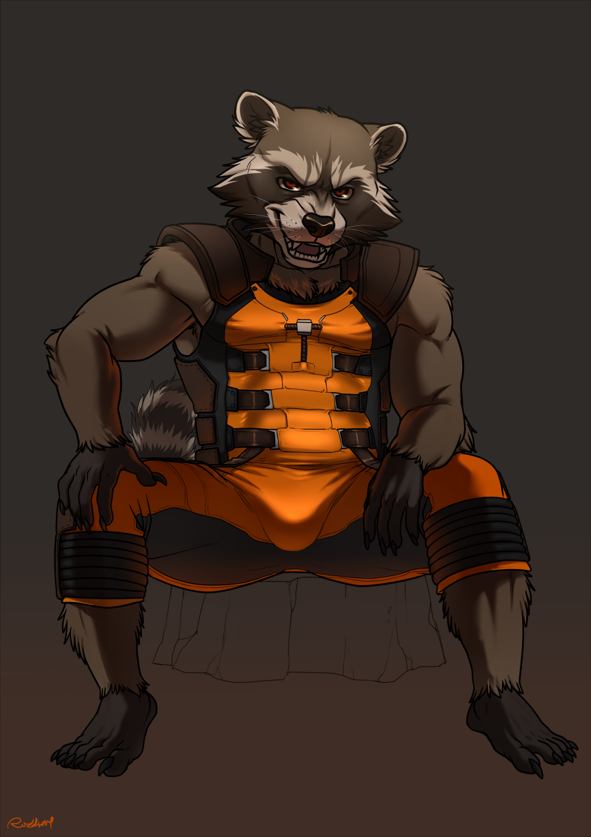 Rocket Raccoon | The Family Series Wiki | FANDOM powered by Wikia