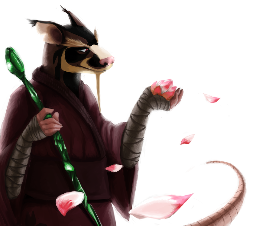 rise of the teenage mutant ninja turtles splinter