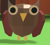Owl The Feed Your Pets Community Wiki Fandom - lion feed your pets roblox wiki fandom powered by wikia