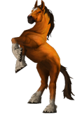 TFR Logistics Horse