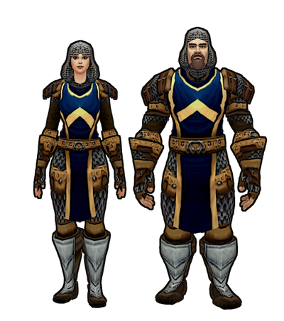 Tfr uniform chainmail