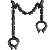 TFR Law Enforcement Manacles