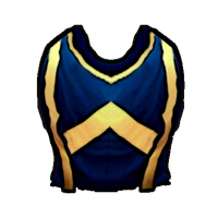 Tfr uniform tabard guild