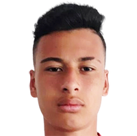 Gabriel Martinelli Football Wiki Fandom