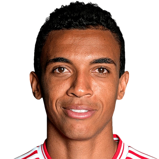 Luiz Gustavo | Football Wiki | FANDOM powered by Wikia