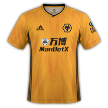 Wolverhampton Wanderers F C Football Wiki Fandom
