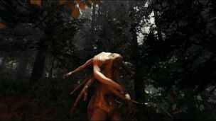 Octopus02