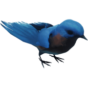 BlueBird