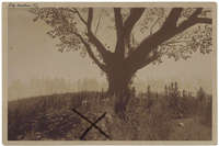 CacheMap 02