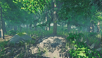 Cache4Screenshot