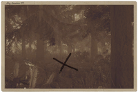 CacheMap 05
