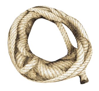 Как сделать верёвку в the forest. Верёвка the forest. Веревка d= 5mm 50m. Форест веревка. Как сделать верёвку в the forest.