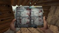 Survival Guide-Effigies